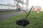 Į pamokas moksleiviai skuba per kliūčių ruožą Į pamokas moksleiviai skuba per kliūčių ruožą
