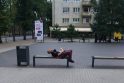 Pasityčiojimas: Herkaus Manto gatvėje benamis surengė "erotinį" šou, kabinėjosi prie praeinančių moterų ir tyčiojosi, mojuodamas dirbtiniu peniu.