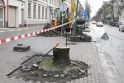 Liepų gatvėje vėl kirs senus medžius Liepų gatvėje vėl kirs senus medžius